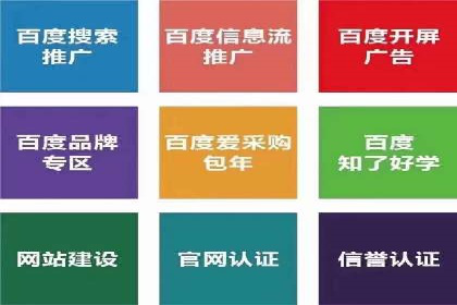 行业应用案例：SEM代运营公司的智慧与策略